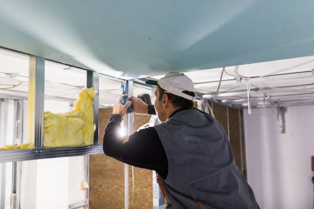 Best Attic Insulation Installation  in Buna, TX