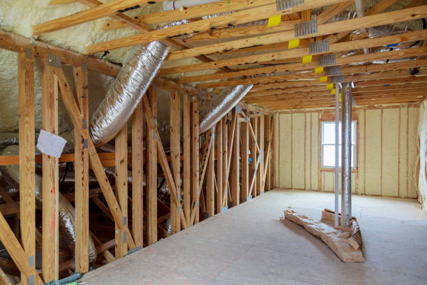 Best Insulation Replacement Services  in Buna, TX