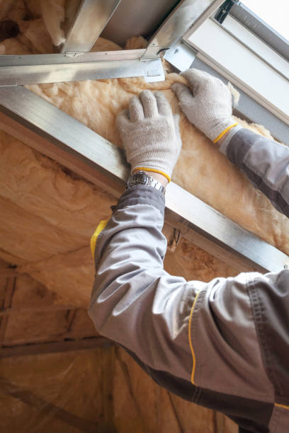 Best Residential Insulation Services  in Buna, TX