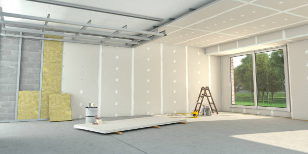 Best Insulation Removal  in Buna, TX