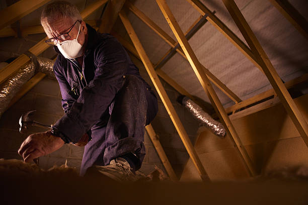 Best Insulation Repair Services  in Buna, TX